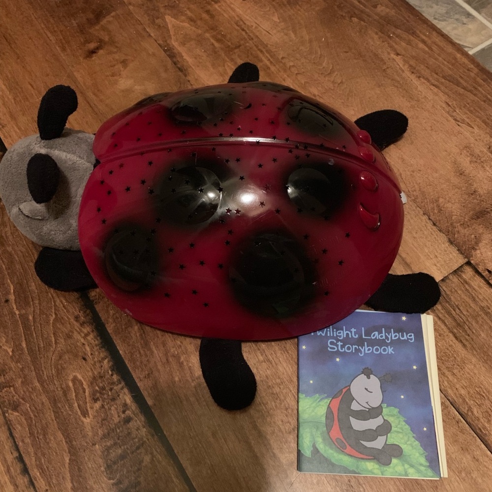 Light up ladybug